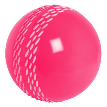 Gray Nicolls Velocity Ball - Pink
